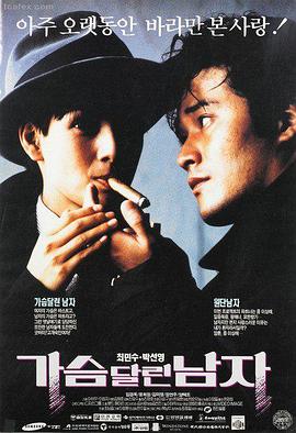 辣文内容封面